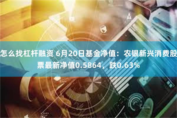 怎么找杠杆融资 6月20日基金净值：农银新兴消费股票最新净值0.5864，跌0.63%