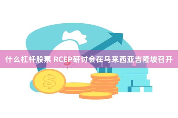 什么杠杆股票 RCEP研讨会在马来西亚吉隆坡召开