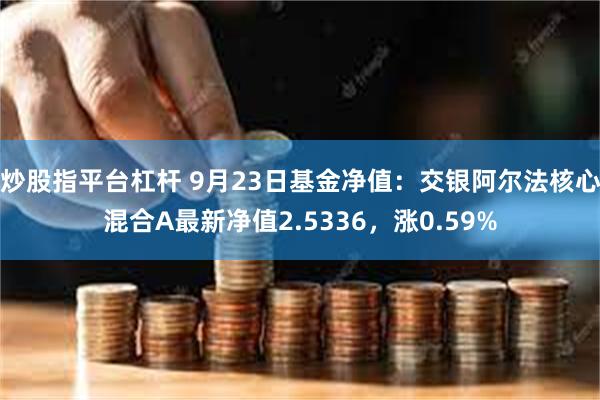 炒股指平台杠杆 9月23日基金净值：交银阿尔法核心混合A最新净值2.5336，涨0.59%