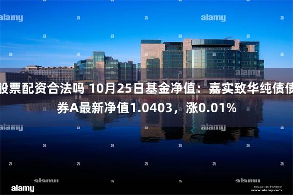 股票配资合法吗 10月25日基金净值：嘉实致华纯债债券A最新净值1.0403，涨0.01%