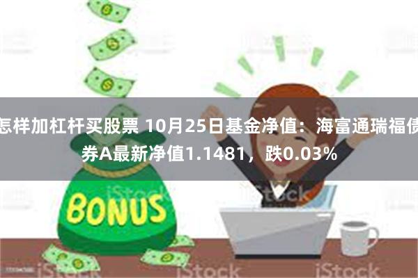 怎样加杠杆买股票 10月25日基金净值：海富通瑞福债券A最新净值1.1481，跌0.03%