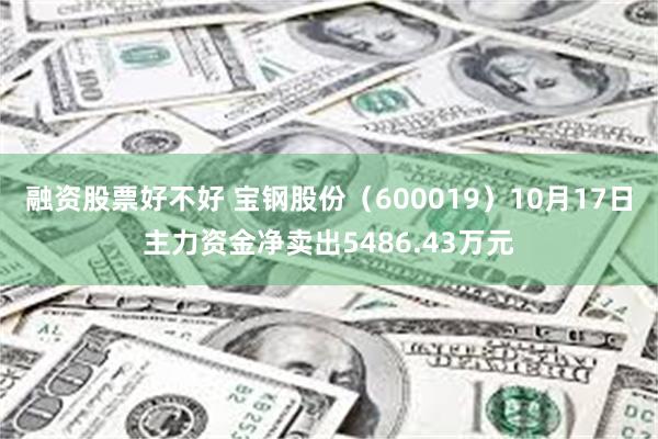 融资股票好不好 宝钢股份（600019）10月17日主力资金净卖出5486.43万元