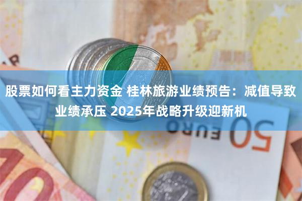 股票如何看主力资金 桂林旅游业绩预告：减值导致业绩承压 2025年战略升级迎新机