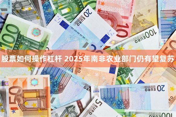 股票如何操作杠杆 2025年南非农业部门仍有望复苏